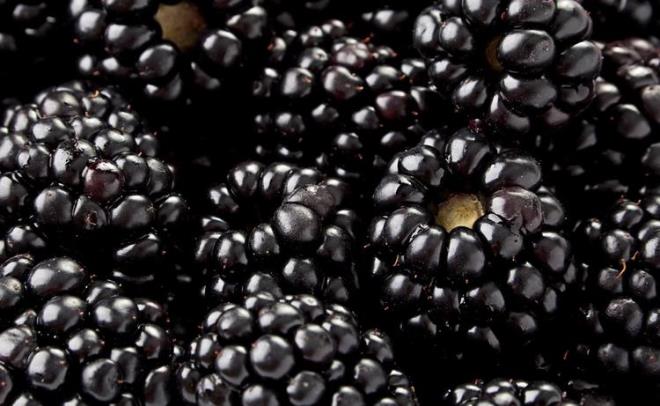 Brtlen<br>  Brtlen de bier birok orman mevyesi gibi, C vitamini asndan ve bioflavonoid olarak bilinen antioksidanlar asndan ok zengindir. Brtlen ayrca sindirimi kolaylatrr, uyank kalmanz salar, dokular sklatrarak cildinizin daha gen grnmesine neden olur. Bir porsiyonu ise sadece 62 kaloridir.