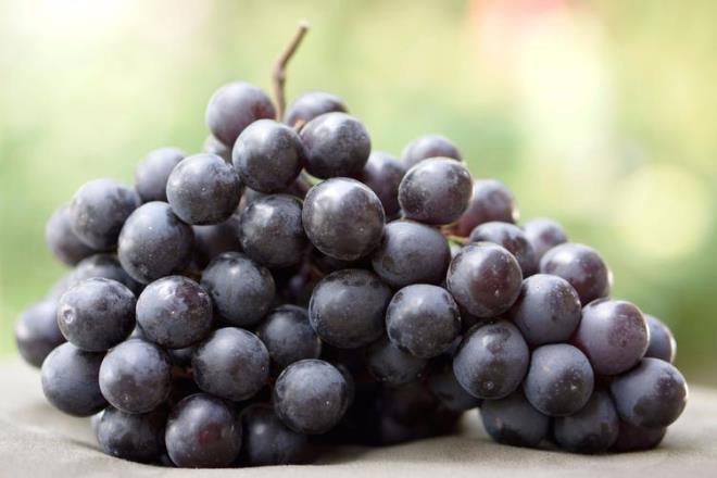 Mrdm erii, siyah zm, brtlen, greyfurt ve mandalina gibi sonbahar meyvelerini tketerek antioksidan etkiden faydalanabilir ve baklk sisteminize C vitamini takviyesi yapabilirsiniz.