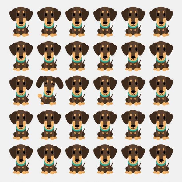 Hangi kpek tekilerden farkl grnyor.