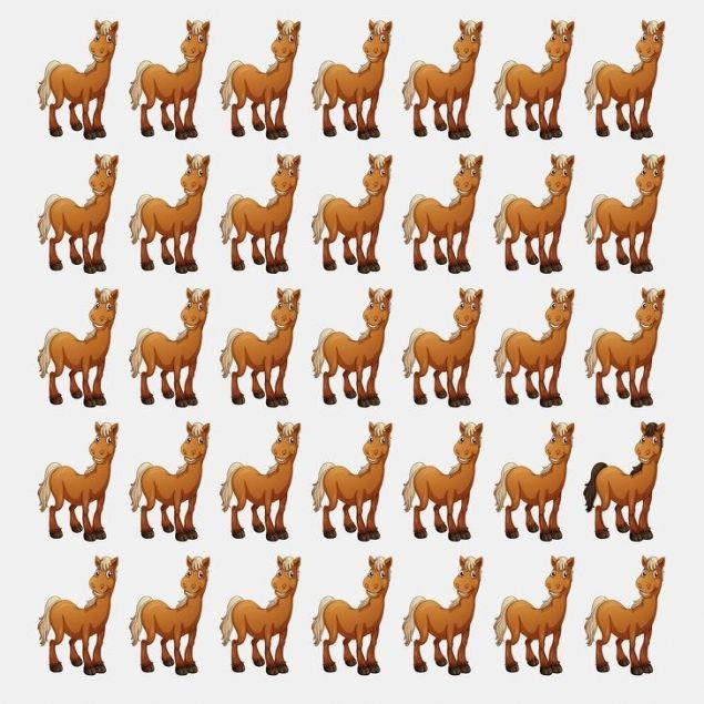 Hangi at dierleri gibi deil?