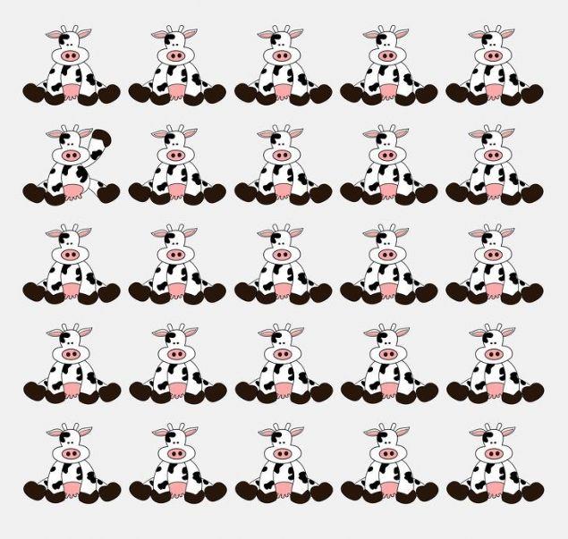 Hangi inek dierlerinden farkl oturuyor?