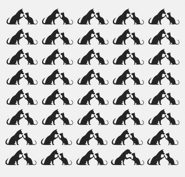 Dierlerinden farkl ikiliyi bulun.