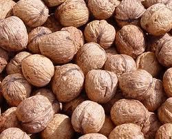 Cevizle dost olun. indeki ya beyin hcreleri iin ok yararldr. Kan sekerini drd iin seker hastalarna da uzmanlar tarafndan tavsiye edilir. - Cevizlerin kabuklarn kolayca aabilmek iin onlar bir gece tuzlu suyun ierisinde bekletin. Bylece ileri de dalmayacaktr.