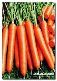 Satn aldnz havucun yapraklarn atmayn, salatalarnzda kullann. nk bu yapraklarda kemik erimesini nleyen kalsiyum bol miktarda bulunur.