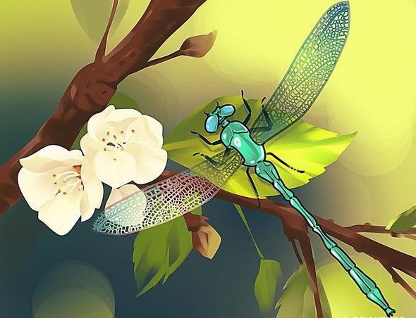 Yusufuk bceinin 2 kanatl olarak resmedilmesi.