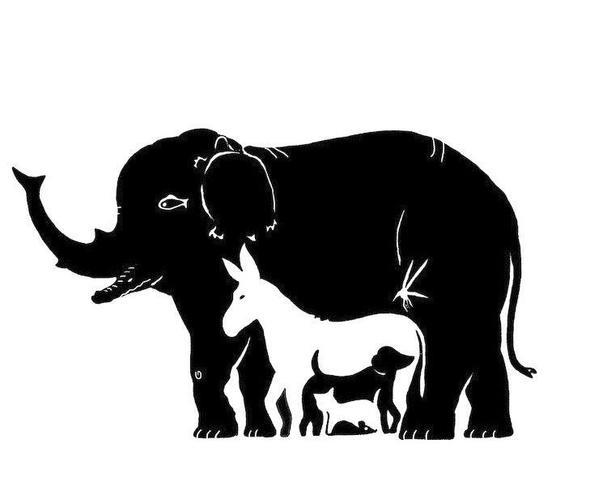 4. Bu resimde ka tane hayvan gryorsun?