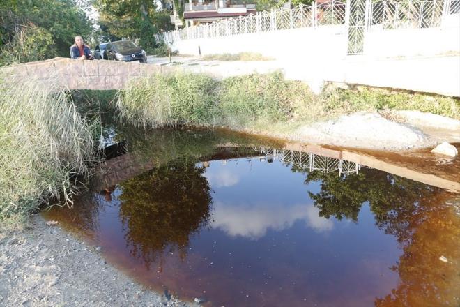 Alnan bilgiye gre, ileden denize dklen dere, yer yer siyah ve kahverengi tonlarnda akmaya balad.