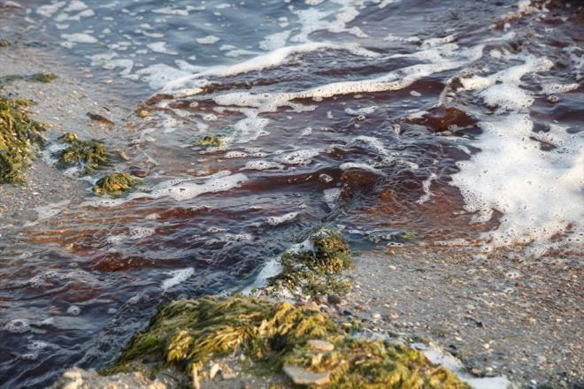 Ekipler, dereden incelenmek zere numune ald. Dereye atk kart ihtimali zerinde duruluyor.