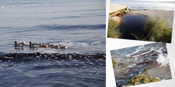 orlu Deresi'nin geen hafta atk nedeniyle renk deitirerek pembe ve krmz akmasna benzer bir durum Kamaradere Deresi'nde yaand. Siyah ve kahverengi tonlarnda akmaya balayan dereden incelenmek zere numune alnd.