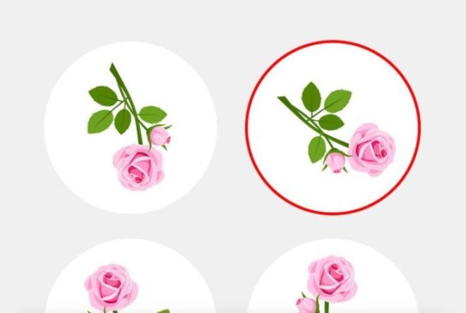 4. Daire iindeki gl dier 3 gl eklinin aynada yansmas gibidir.