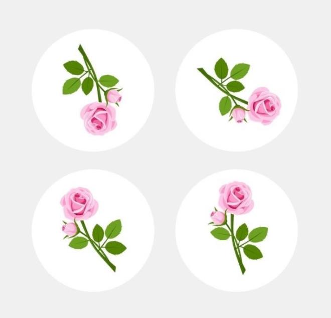 4. Dierlerinden farkl gl bulun.