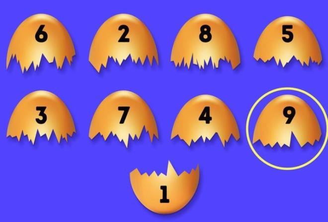 20. 9 numaral kabuk paras 1 numaral yumurta kabuundan ayrlmtr.