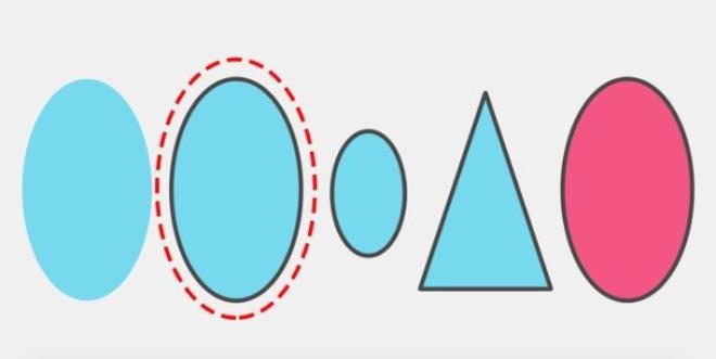3. Daire iindeki ekil hem sol bataki hem de sa batakiyle benzerlik tar. Dierleri gibi zel bir karakteristii yoktur.