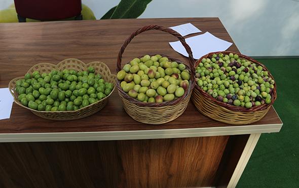 Btn dnya buna yatrm yapmaktadr. Yollarn yaplmas nemli deil. 9 katl binalarn, 50 katl AVM&#8217;lerin yaplmas nemli deil. Medeniyet o deil. Medeniyet iftinin desteklenmesi, tarmn desteklenmesidir. Bir lke tarm ayakta tutarsa ayakta kalabilir&#8221; diye konutu.