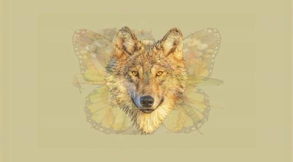 Buna ramen insanlar kendinize eken bir auraya sahipsiniz. Gvenilir yapnzla beraber, kalabalkta bile ne karsnz.