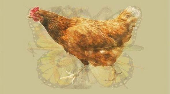 TAVUK    <br>lk bakta tavuu grdyseniz, cesur ve lgn bir karaktersiniz.