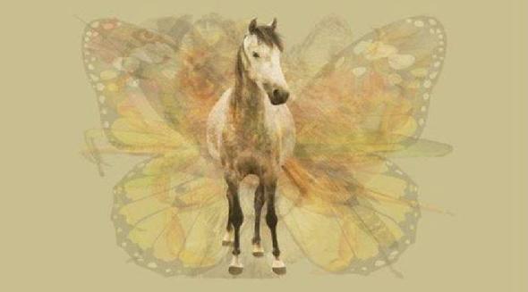 Zorluklara kar mcadele eden, hrsl ve azimli birisiniz. Bu azminiz sayesinde gerekirse ta bile delebilirsiniz. En kk detaylar yakalayabilirsiniz. nk at, resimde fark edilmesi en zor hayvan.