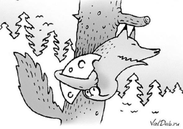 Pek de grdnz 'ey' deilmi!