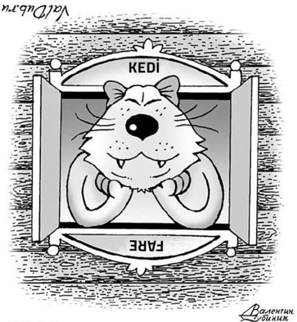 te bir baka rnek daha...