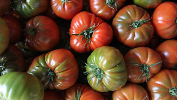 Listede 400' akn rn yer ald. Gdadan mazota, bebek bezinden elektrie, indirim yaplacak rnlerin listesi oda ve borsalara ulat.