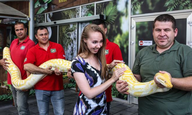 WildPark Sorumlu Veteriner Hekimi Kadir Yatan, piton yavrularnn yeni beslenmeye baladn belirtti. Yavrularn bakmyla yakndan ilgilendiini syleyen Yatan, "Anne ve baba piton ylannn yaam alan farkl. Yavrular karantina odamza aldk ve her birinin ayr bakmlarn yapyoruz" dedi.