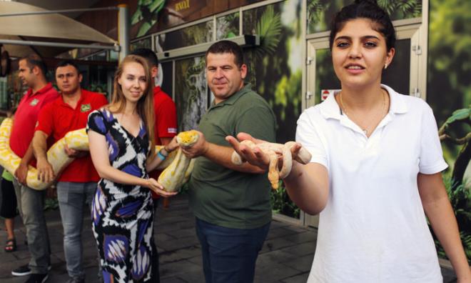 Karantina odasnda bakmlar yaplan piton yavrularnn boylar 15 ila 30 santimetre arasnda deiiyor. Yavrularn birka yl iinde yetikin olaca ve boylarnn da 4 ila 6 metreyi bulaca belirtildi.