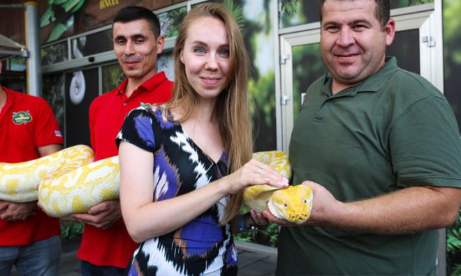 Antalya'da egzotik ve tropik canllarn camdan akvaryumlar (teraryum) iinde yaad WildPark, yeni dnyaya gelen piton yavrularyla renklendi. Biri dii, 2 yetikin pitonun yaad WildPark'ta geen ay doum yapan dii piton, 41 yavru dnyaya getirdi.