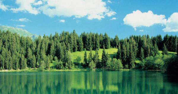 Artvin'in her ky bir yayla Artvin'in de yzde 51'ini yaylalar oluturuyor. Burada, Sahara Yaylas (Savsat), Bilbilan Yaylasi (Ardanuc), Kafkasor Yaylas'n (Merkez) grebilirsiniz. Vadiler de bunlarn arkasndan gelir.