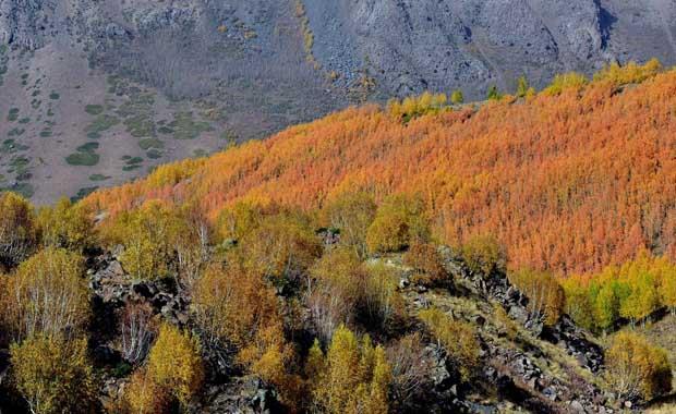 Bol bol fotoraf ektiriyorlar<br>    Her haliyle kendine hayran brakan doa harikas Nemrut Kalderas'nda bol bol fotoraf ektiren ziyaretiler, k ncesi herkesi bu gzel manzaray grmeye davet ediyor. Nemrut Kalderas&#8217;nn i ksmlarna ilerlendiinde bitki rtsndeki kzllk ve altn sarl gllerle ve akarsularla btnleiyor.