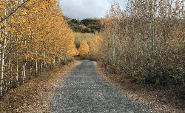 Seyrine doyum olmayan bir manzara  <br>  zellikle traverten blgesindeki aalarn brnd sar, krmz, yeil ve pembe tonlar, grenleri hayran brakyor. Bitki rtsnn oluturduu grsel len, fotoraf tutkunlarnn da ilgisini ekiyor. Sarp arazideki vadide aalarn arasnda sakl kalan yeil ve mavi ise ziyaretilerine seyrine doyumsuz manzara sunuyor.