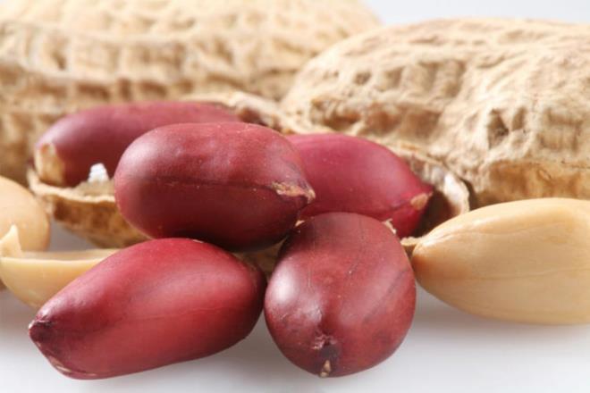 Fstk tarlalarndan alnan verimin hzla dmesiyle fstk fiyatlar ykselie geti. Tahminlere gre yakn gelecekte yer fst retilemeyecek.