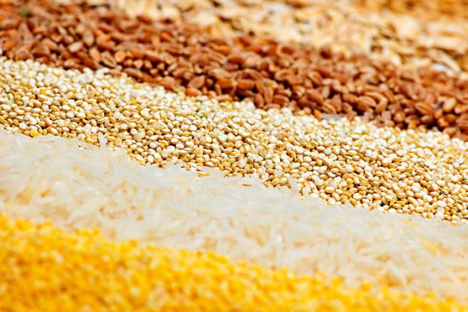 Bu  tahl, dnyann neredeyse tamamnn beslenmesini salyor. Ancak hava scaklklarndaki dalgalanmalar ve yalarn ngrlemezlii nedeniyle bu rnlerin retildii blgeler hzla deiiyor. 2050'de buday, pirin ve dar talebinin yzde 33 artacan da dnrsek, gelecek nesiller iin alk bugnknden de byk bir kriz olacak.