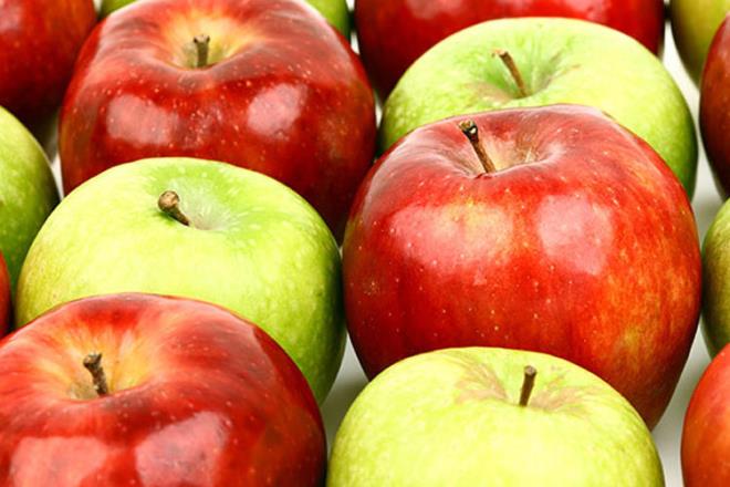 Elma aalarndan verim alabilmek iin ok sert geen souk k mevsimleri gerekiyor. Ancak gnmzde klar neredeyse baharm gibi getii iin aalardan yeterli verim alnamyor.