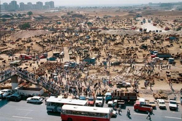 Cumhuriyetin ilk yllarnda ky nfusu ehirlilere gre yksek iken gler nedeniyle 1985 yl itibaryla ehirlerdeki kii says ky nfusunu geti.
