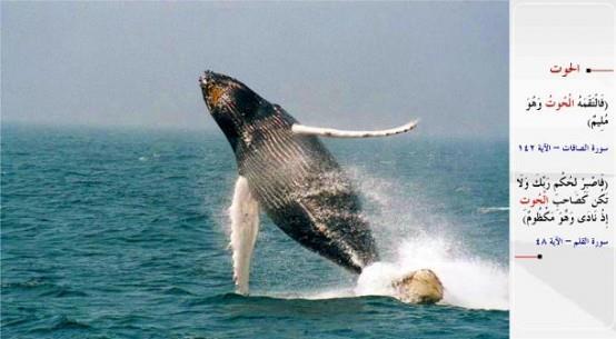 BALNA- &#8220;Yunus kendini knayp dururken onu dev bir balk yuttu.&#8221; (es-Saffat / 142) &#8220;Sen Rabbinin hkmn sabrla bekle. Balk sahibi (Yunus) gibi olma. Hani o, dertli dertli Rabbine niyaz etmiti.&#8221; (el-Kalem / 48)