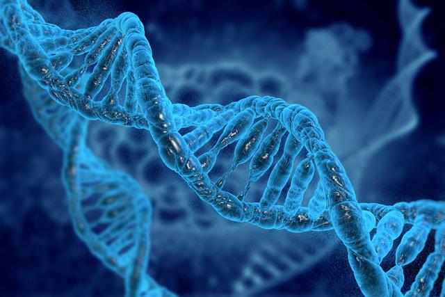 1. DNA’daki hasar birikiyor  <br>  DNA’m�z h�creler aras�nda iletilen genetik kodumuz. Ya�lanmayla birlikte iletim s�recindeki hatalar art�yor. Ve bu hatalar h�crelerde birikiyor. Genetik istikrars�zl�k, k�k h�crelere zarar verebiliyor. Hatalar, kanserli h�crelere d�n��ebiliyor.