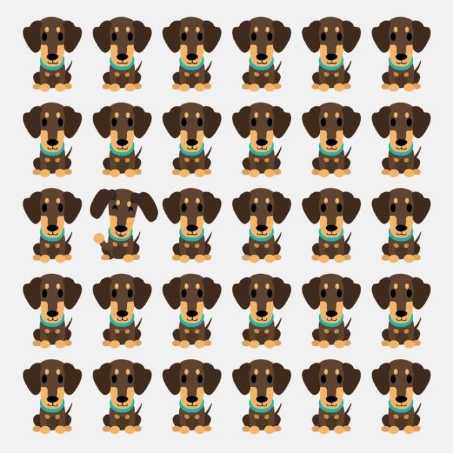 Hangi k�pek �tekilerden farkl� g�r�n�yor?