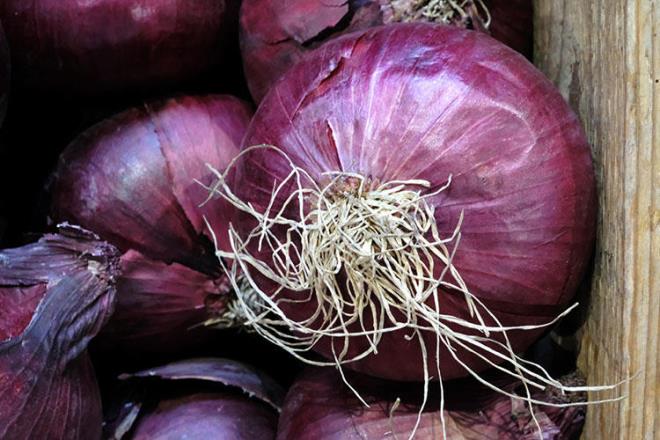 pe atlmayacak kadar kymetli sebze meyve paralarn sizin iin aratrdk. Meer byklerin "Vitamini kabuunda" derken bir bildikleri varm...