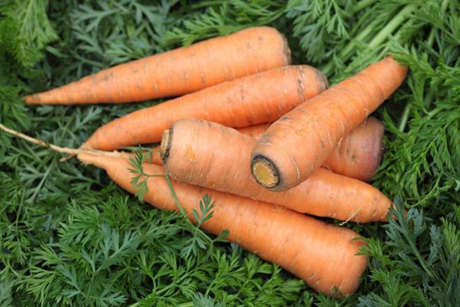 Havu kkleri    Havularn kklerini pe atmak yerine havucun geri kalan ksmlarn yediiniz gibi yiyebilirsiniz. Ancak tad biraz daha buruk olacaktr. Bu nedenle bu ksmlar orbalarda ya da sebze suyu yaparken kullanmak daha mantkl olabilir.