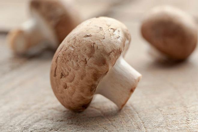 Mantar kkleri<br>    Mantar yemeklerde kullanrken sadece tepelerini deil kklerini de kullanabilirsiniz. Lezzeti de dokusu da mantarn geri kalan ksmlarndan farkl olmayacaktr. zellikle orba ya da sote gibi mantar ince kydnz tarifler iin mantar kkleri ok uygun olabilir.