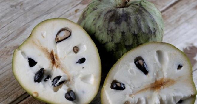 Besin puan 96 olan gdalar<br>  erimoya (bir tr meyve)