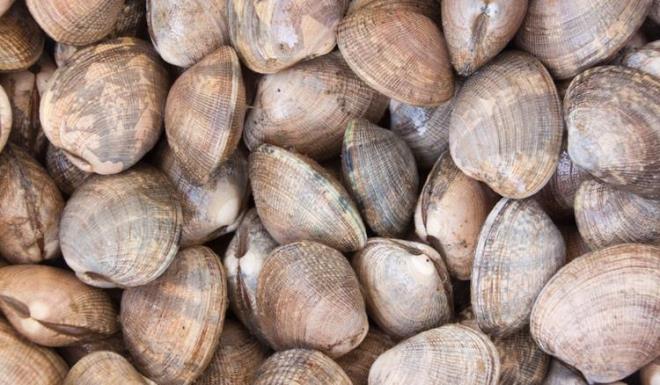 Besin puan 62 olan gdalar<br>  Karalahana, rapini (bir tr sebze), ac biber, midye