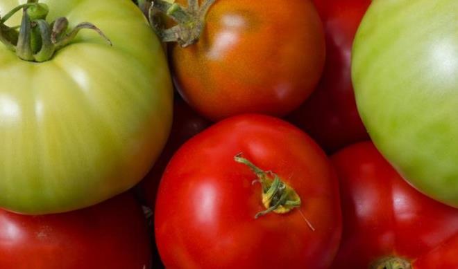 Besin puan 56 olan gdalar<br>  Krmz domates, yeil domates, yeil marul, glevez (taro) yapra, Lima fasulyesi, ylanbal, mavi yzgeli Atlantik orkinosu, Coho somonu