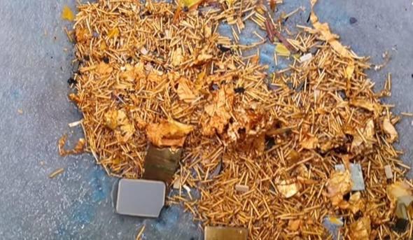 Altnn ayklanabilmesi iin 1 ay boyunca asitli suda ilemcilerin kalmas gerekiyor.