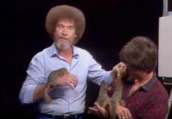 aracanz bir dier ey ise: Bob Ross'un aslnda asker olmas. 18 yanda Hava Kuvvetleri&#8217;ne girdi.