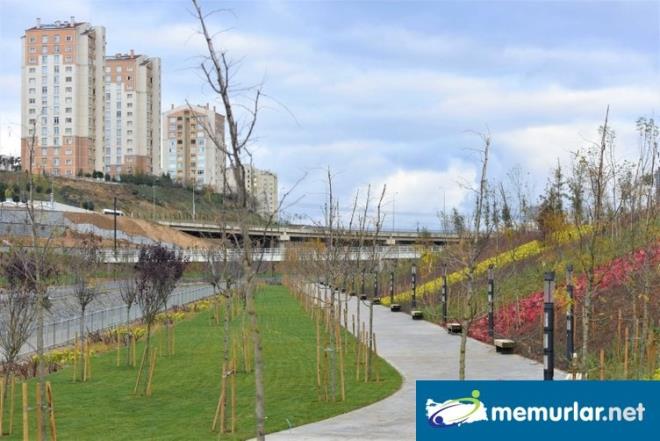 Millet bahesindeki biyolojik glet yanna ahap malzemeden ina edilen Millet Kraathanesi'nde okuma salonu ve kafeterya bulunuyor. Alanda yer alan beton amfide ise etkinlikler dzenlenebilecek.