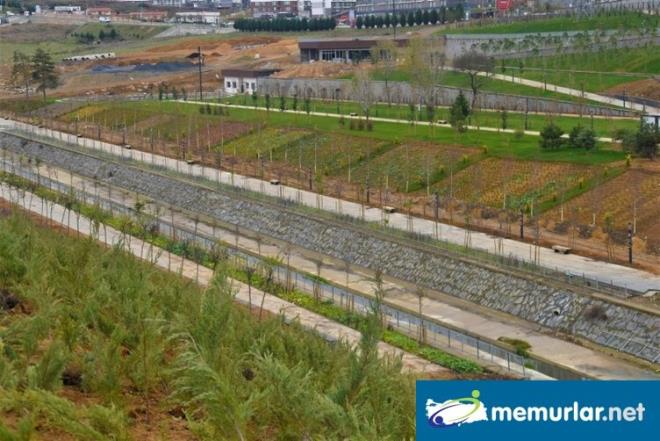 Proje kapsamnda ayrca temelleri yeni atlan ve gelecek yl tamamlanmas hedeflenen 15 bin kiilik spor salonu ile yar olimpik kapal yzme havuzu da bulunuyor.