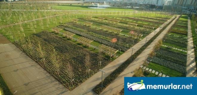 Baruthane Millet Bahesi'nde ayrca 130 aralk toplam 3 bin 745 metrekare iki otopark, ss havuzu, 682 metrekarelik ocuk oyun alan, spor alanlar (169 metrekare workout alan, 175 metrekare 2 fitness alan), cretsiz internet, tarihi zellikleri korunan Osmanl Baruthanesi ve binalar, tarihi kule bulunuyor.