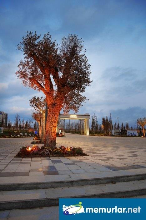 Hodere Millet Bahesi'nde, bisiklet ve yry yollar, piknik alanlar, tematik baheler, meyve ve koku baheleri, basketbol sahas keyifli vakit geirmek isteyen stanbullularn hizmetinde olacak.
