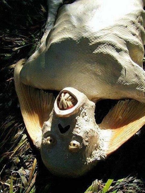 Bir sanatnn elinde kma bu "deniz kz", 2006 ylnda internet zerinden satld...